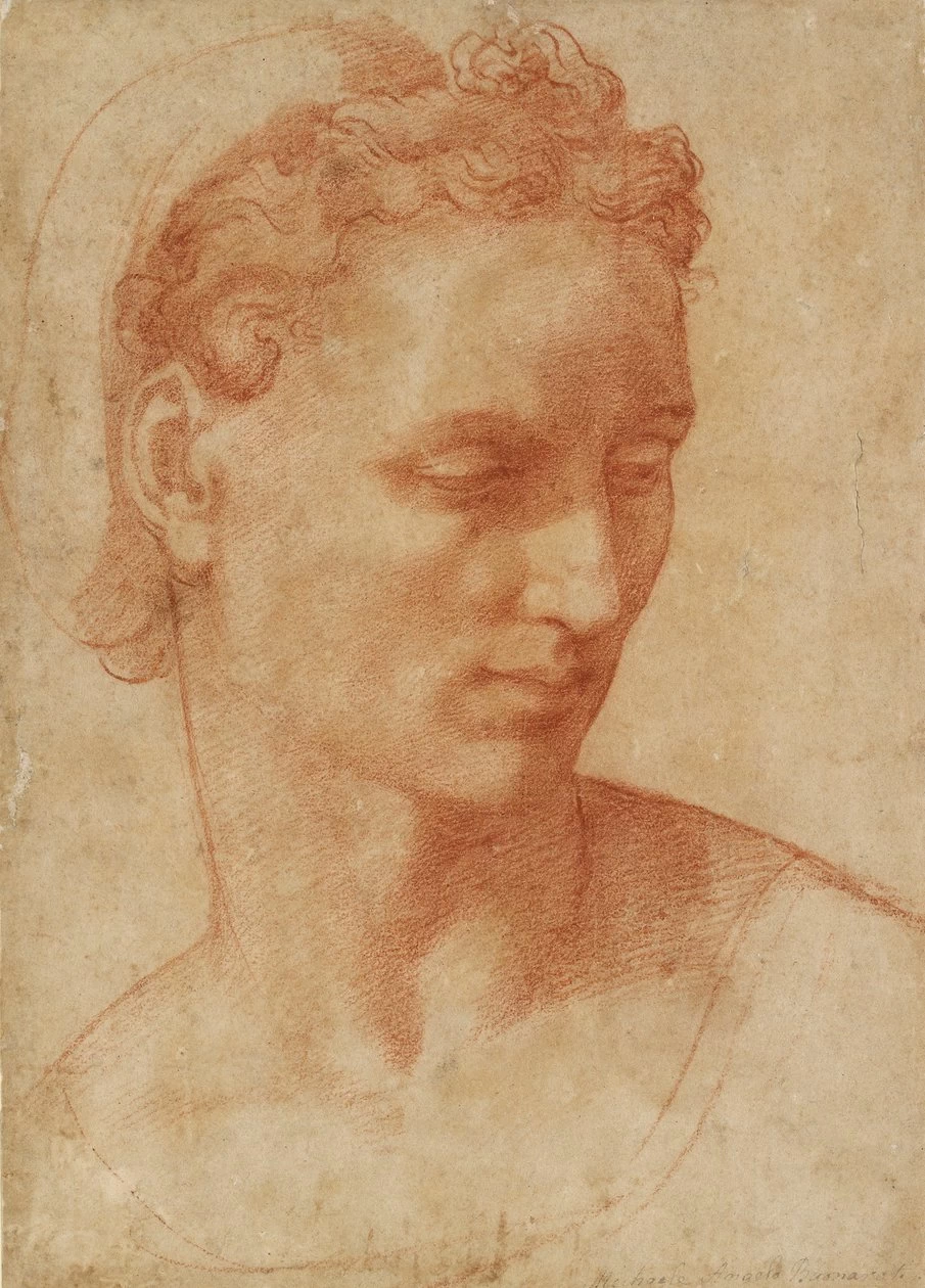 Testa di donna - Ashmolean Museum, University of Oxford